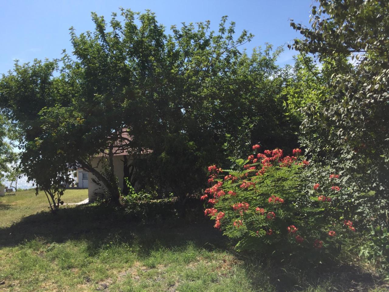 Angauel Inn Cerro Playa Rosada Palmar Eksteriør billede