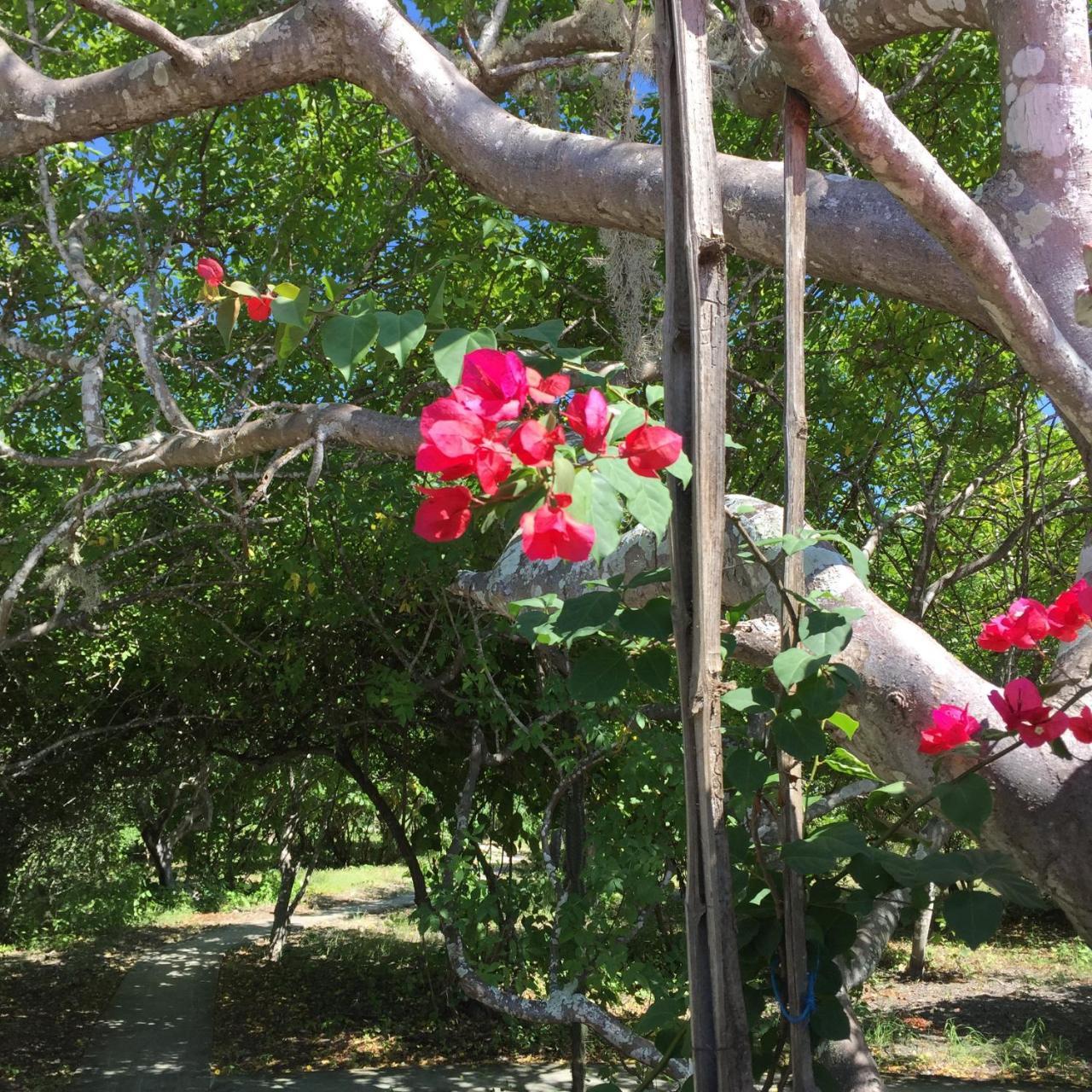 Angauel Inn Cerro Playa Rosada Palmar Eksteriør billede