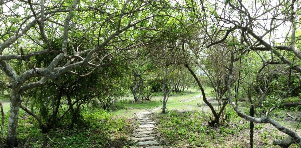 Angauel Inn Cerro Playa Rosada Palmar Eksteriør billede